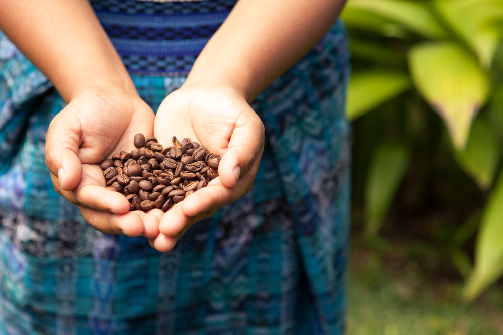 wie schmeckt Kaffee aus welchem Anbaugebiet